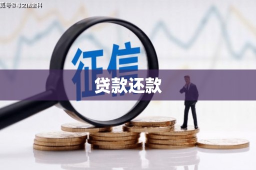 金阳贷款还款