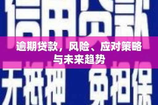 金阳逾期贷款，风险、应对策略与未来趋势