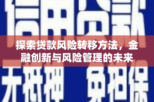 金阳探索贷款风险转移方法，金融创新与风险管理的未来
