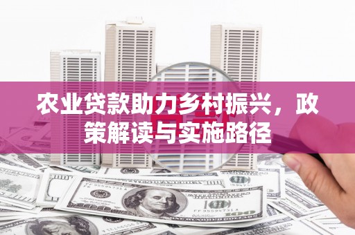 金阳农业贷款助力乡村振兴，政策解读与实施路径