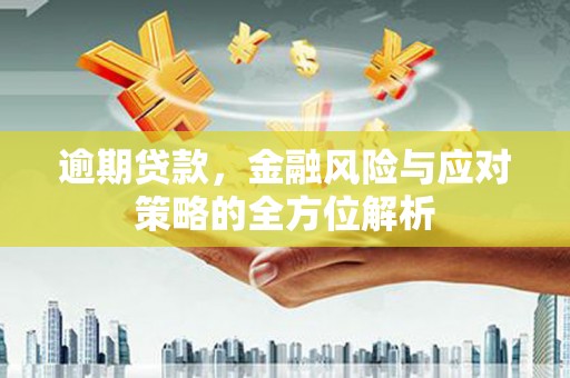 金阳逾期贷款，金融风险与应对策略的全方位解析