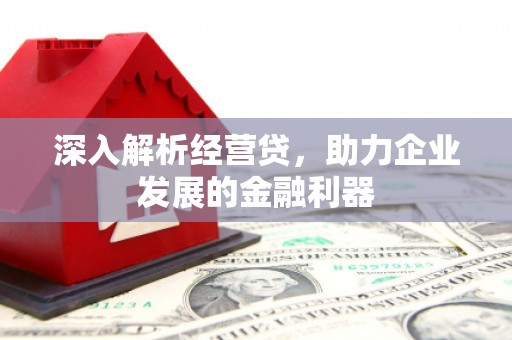 金阳深入解析经营贷，助力企业发展的金融利器