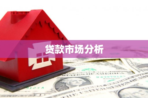 金阳贷款市场分析