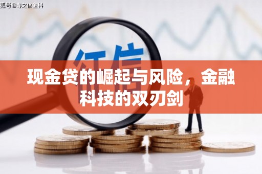 金阳现金贷的崛起与风险，金融科技的双刃剑