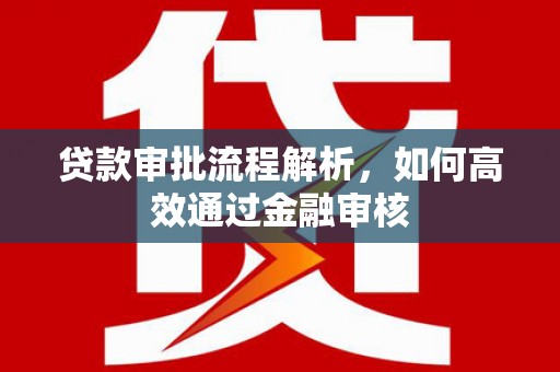 金阳贷款审批流程解析，如何高效通过金融审核