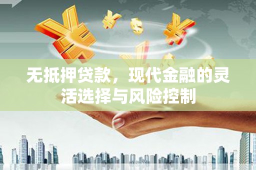 金阳无抵押贷款，现代金融的灵活选择与风险控制
