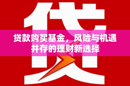 金阳贷款购买基金，风险与机遇并存的理财新选择