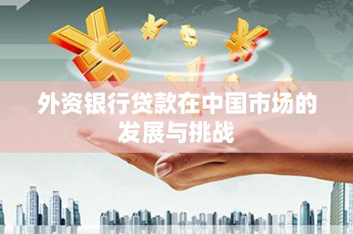 金阳外资银行贷款在中国市场的发展与挑战