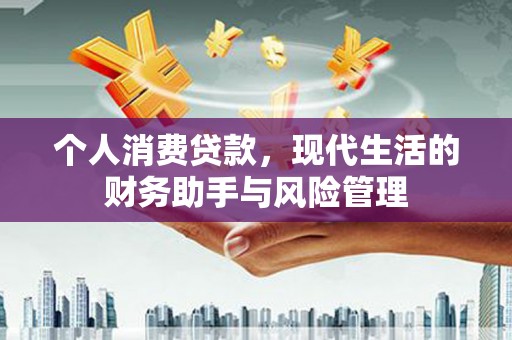 金阳个人消费贷款，现代生活的财务助手与风险管理