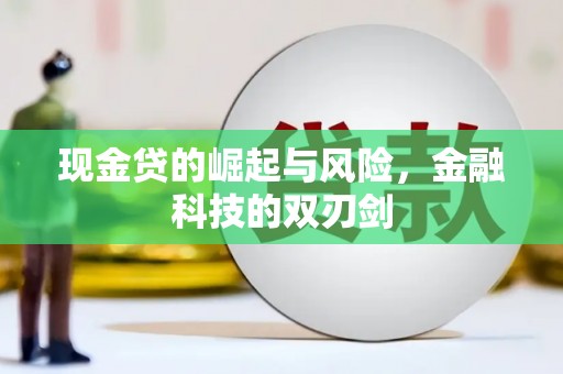 金阳现金贷的崛起与风险，金融科技的双刃剑
