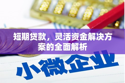金阳短期贷款，灵活资金解决方案的全面解析