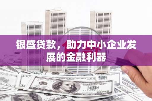 金阳银盛贷款，助力中小企业发展的金融利器