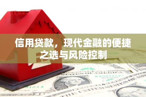 金阳信用贷款，现代金融的便捷之选与风险控制