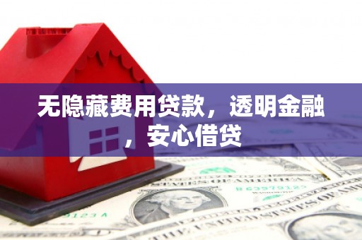 金阳无隐藏费用贷款，透明金融，安心借贷