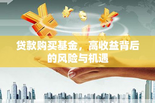 金阳贷款购买基金，高收益背后的风险与机遇