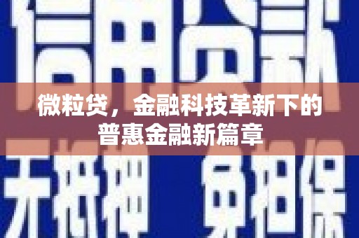 金阳微粒贷，金融科技革新下的普惠金融新篇章