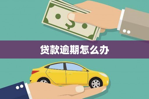 金阳贷款逾期怎么办