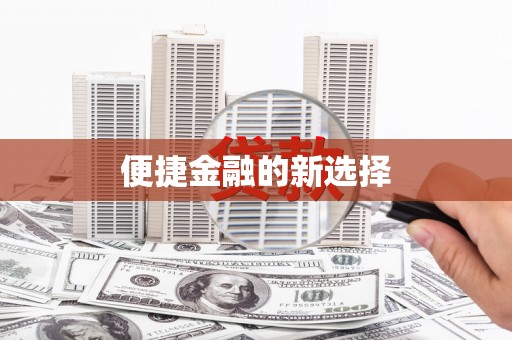 金阳便捷金融的新选择