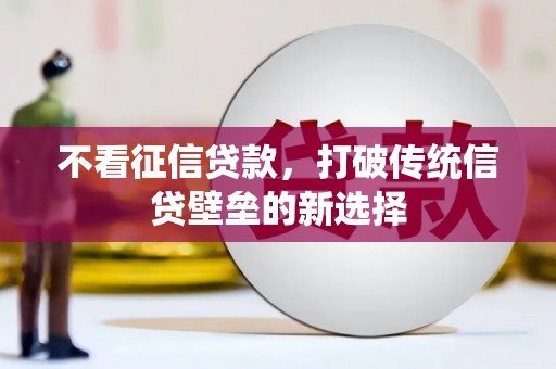 金阳不看征信贷款，打破传统信贷壁垒的新选择