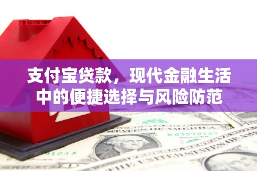金阳支付宝贷款，现代金融生活中的便捷选择与风险防范