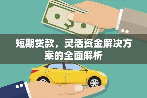 金阳短期贷款，灵活资金解决方案的全面解析