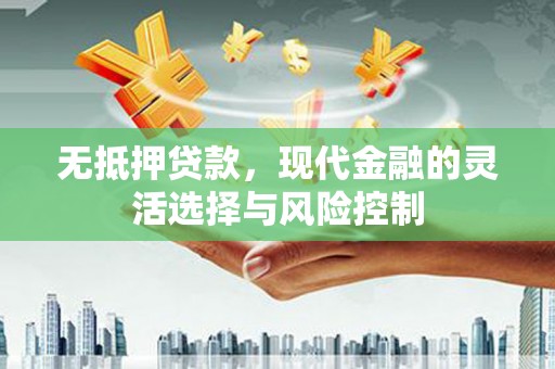 金阳无抵押贷款，现代金融的灵活选择与风险控制