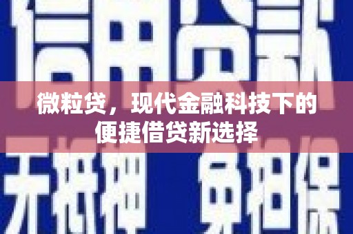 金阳微粒贷，现代金融科技下的便捷借贷新选择