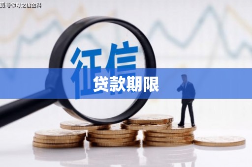 金阳贷款期限