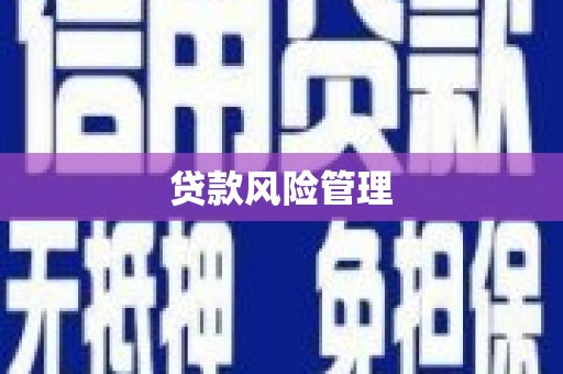 金阳贷款风险管理