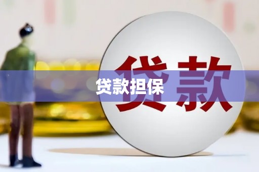 金阳贷款担保