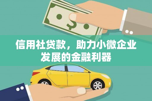 金阳信用社贷款，助力小微企业发展的金融利器