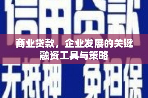 金阳商业贷款，企业发展的关键融资工具与策略