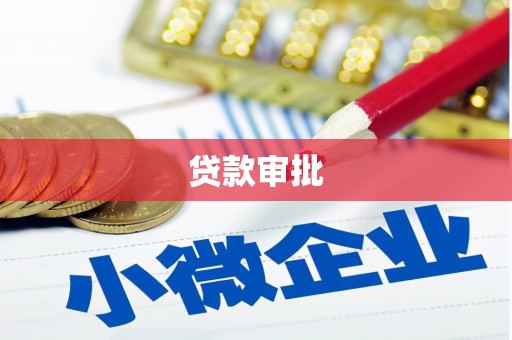 金阳贷款审批