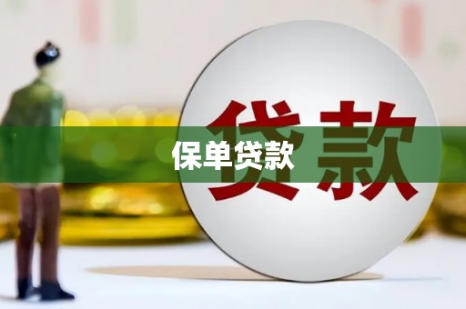 金阳保单贷款