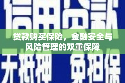 金阳贷款购买保险，金融安全与风险管理的双重保障