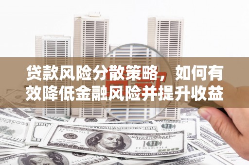 金阳贷款风险分散策略，如何有效降低金融风险并提升收益