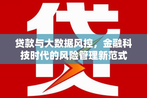 金阳贷款与大数据风控，金融科技时代的风险管理新范式