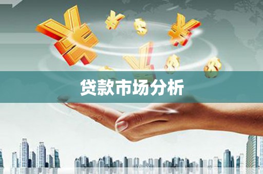 金阳贷款市场分析
