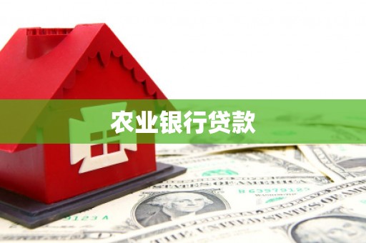 金阳农业银行贷款
