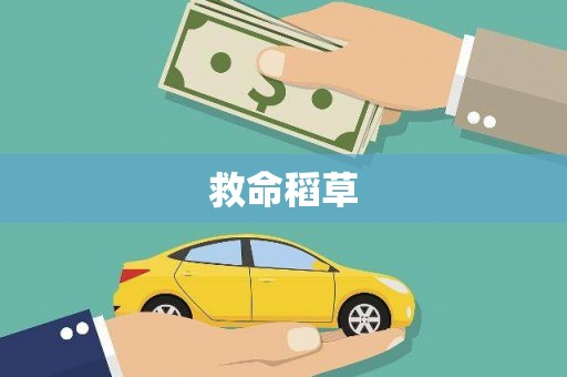金阳救命稻草