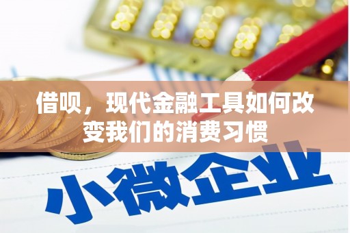 金阳借呗，现代金融工具如何改变我们的消费习惯