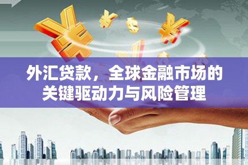 金阳外汇贷款，全球金融市场的关键驱动力与风险管理