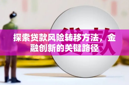 金阳探索贷款风险转移方法，金融创新的关键路径