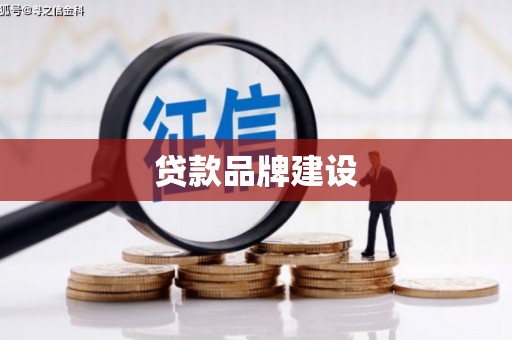 金阳贷款品牌建设