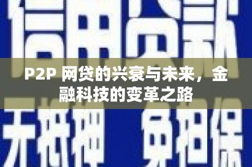 金阳P2P 网贷的兴衰与未来，金融科技的变革之路