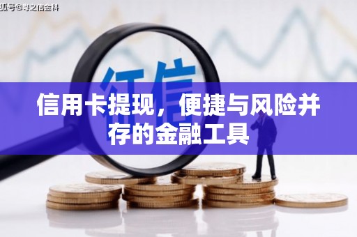 金阳信用卡提现，便捷与风险并存的金融工具