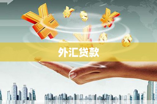 金阳外汇贷款