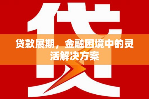 金阳贷款展期，金融困境中的灵活解决方案