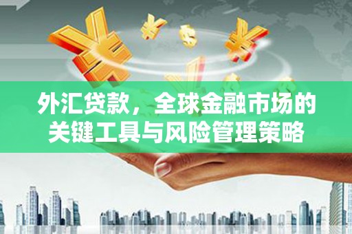 金阳外汇贷款，全球金融市场的关键工具与风险管理策略
