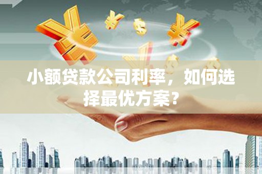 金阳小额贷款公司利率，如何选择最优方案？
